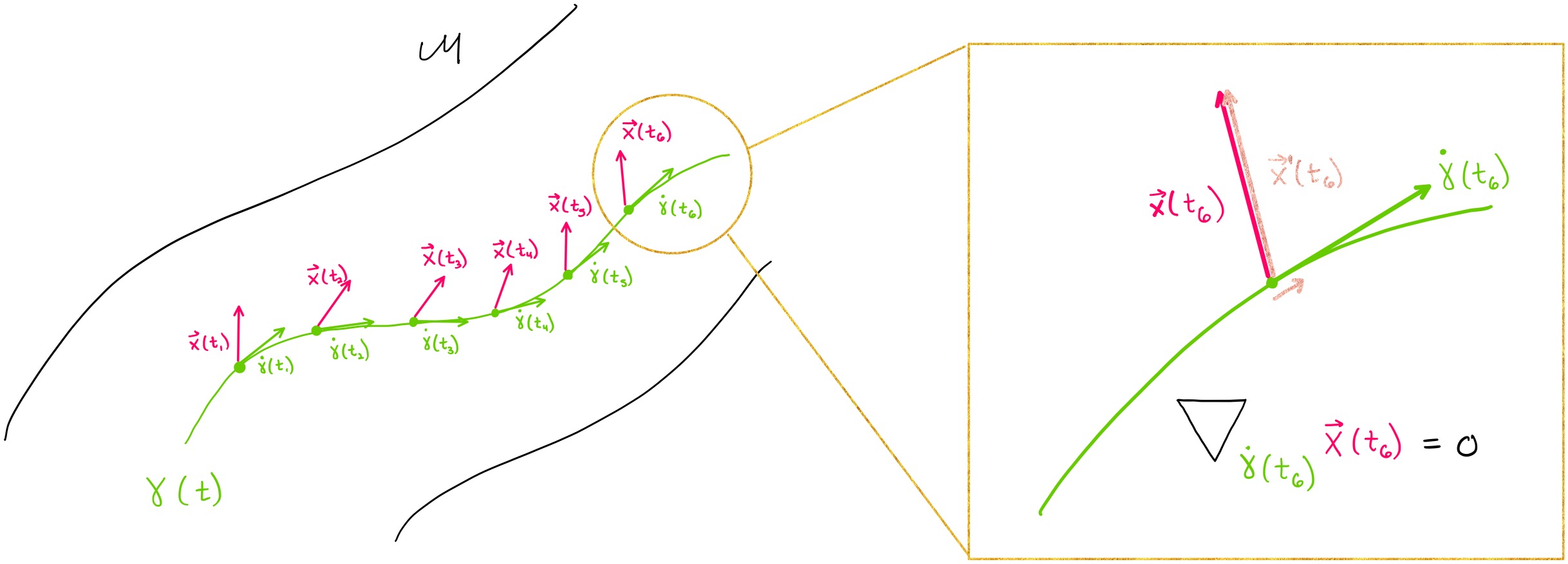 parallel vector field